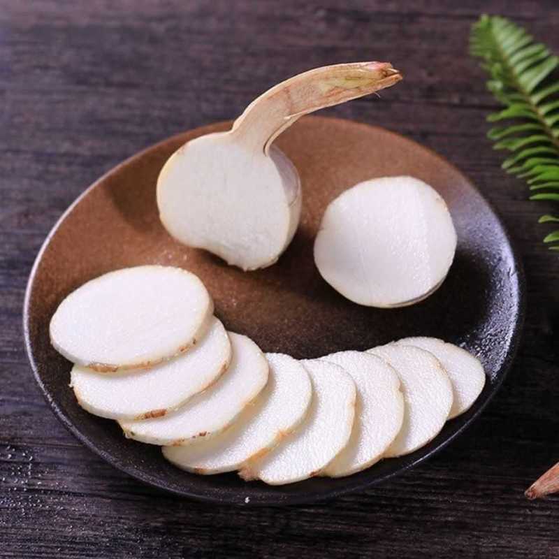 云南现挖特大号白茨菇新鲜白茨菇白马蹄新鲜蔬菜茨菰粉糯慈姑