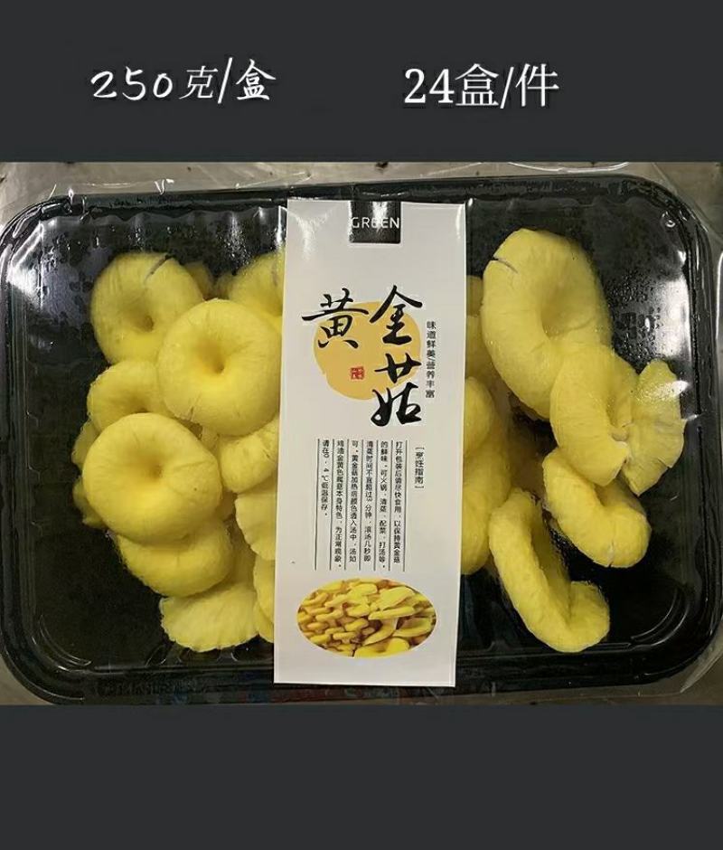 黄金菇，鸡油黄菇，榆黄菇