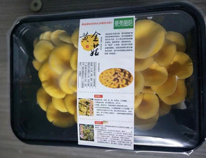 黄金菇，鸡油黄菇，榆黄菇