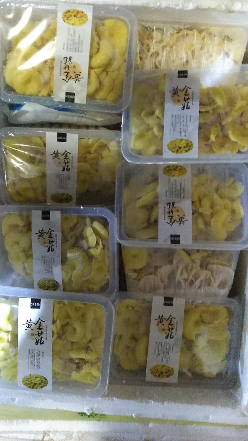 黄金菇，鸡油黄菇，榆黄菇