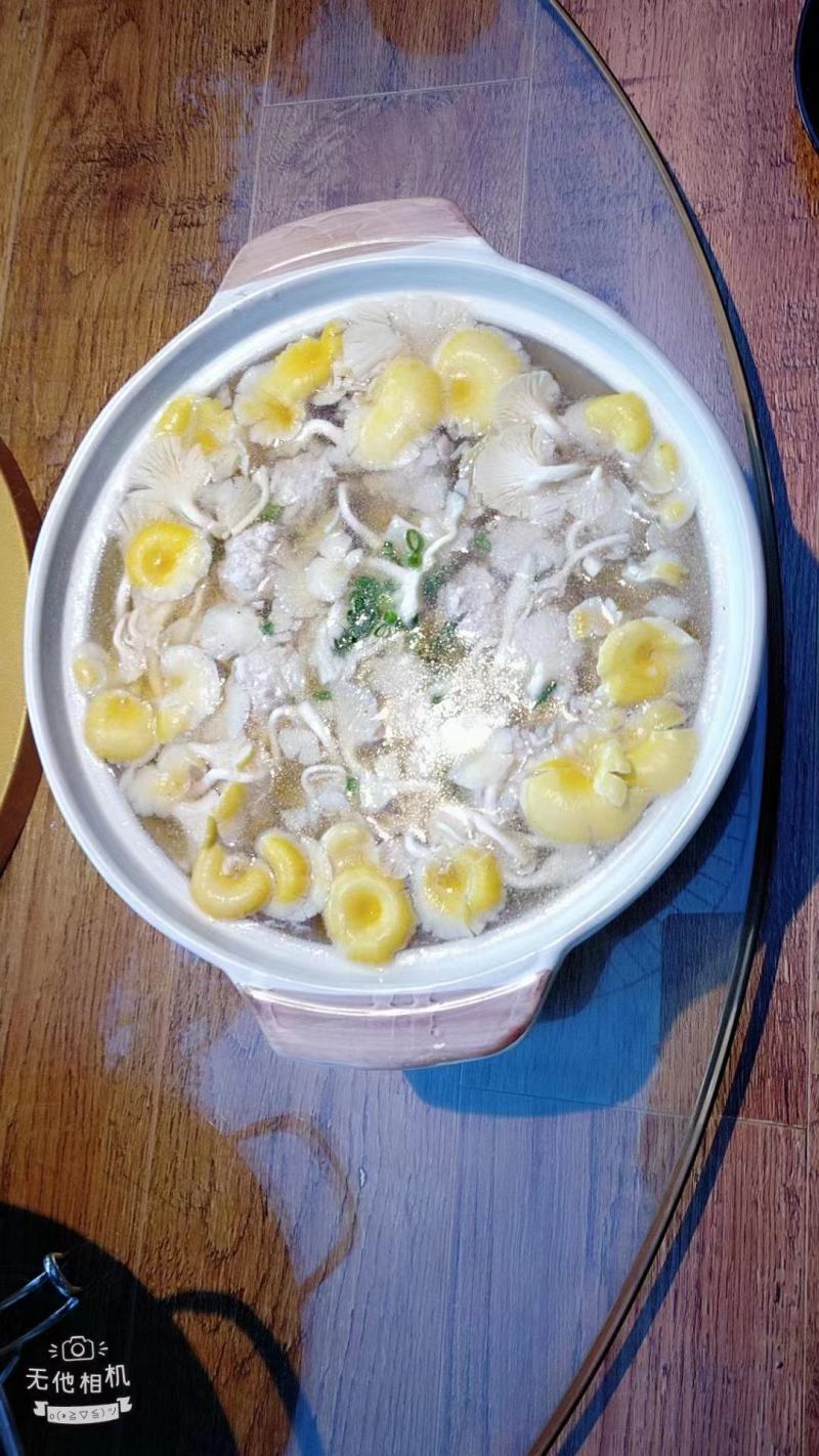 黄金菇，鸡油黄菇，榆黄菇