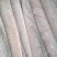 船冻带鱼质量好、价格优，全国各地直达，大量批发，手续齐全
