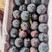 【黑布林李子】紫琥珀黑布林李子大量上市货量充足代收代发