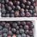 【黑布林李子】紫琥珀黑布林李子大量上市货量充足代收代发