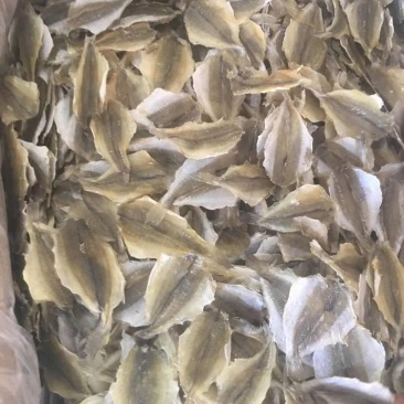 多味鱼干，白姑鱼干，甜鱼干，烧烤鱼干
