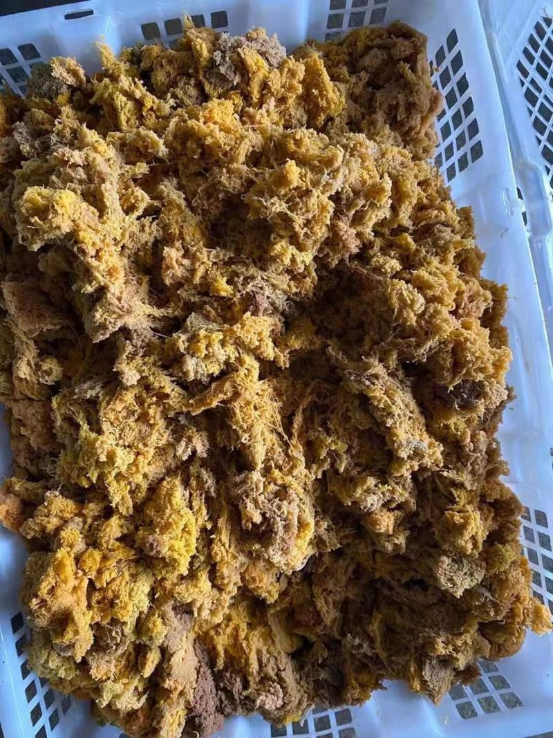 蟹籽，活蟹卵