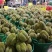 正宗泰国金枕头榴莲a果甜糯榴莲热销款肉多核小
