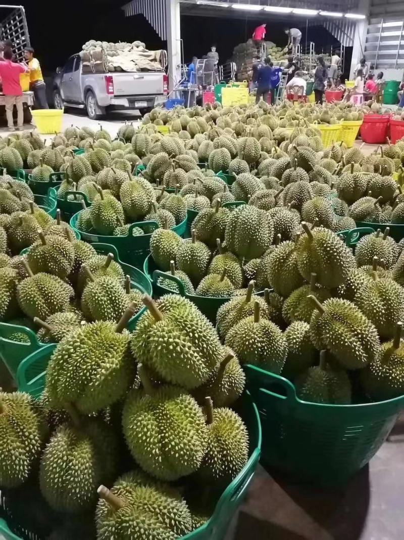 正宗泰国金枕头榴莲a果甜糯榴莲热销款肉多核小