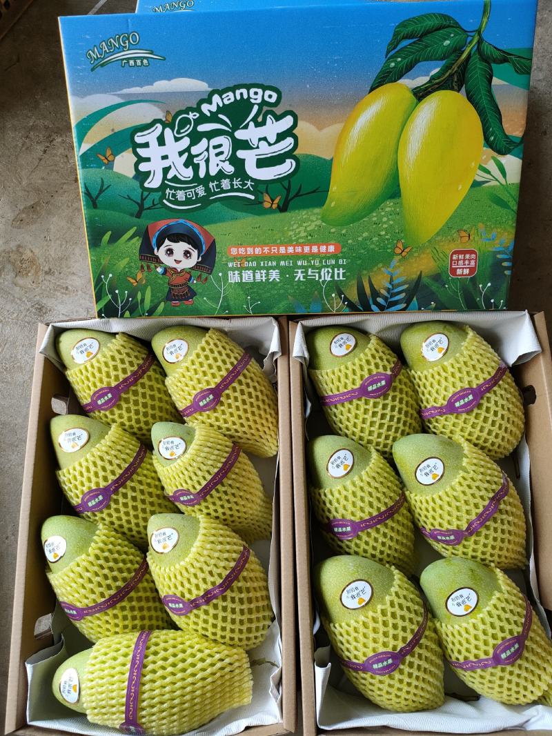金煌芒，非常的清甜爽口，果肉Q弹，肉厚核薄，无茎无丝