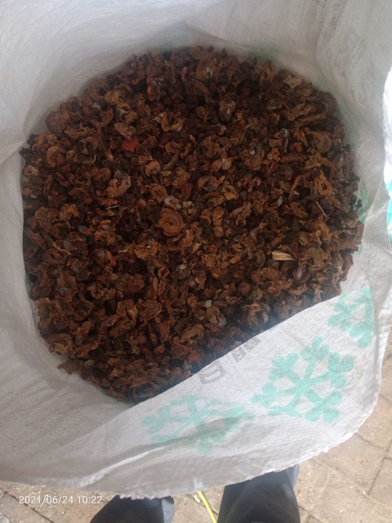 扇贝扇贝边扇贝下脚料货好价格便宜需要的联系