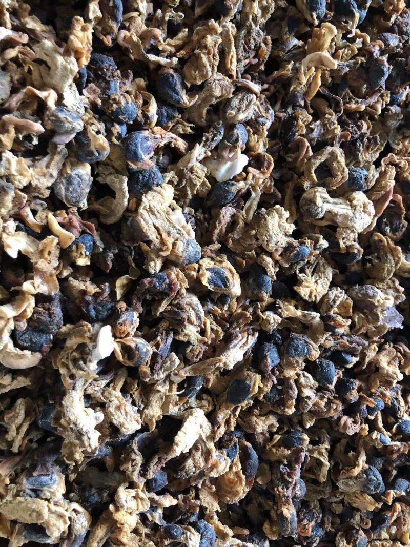 扇贝扇贝边扇贝下脚料货好价格便宜需要的联系