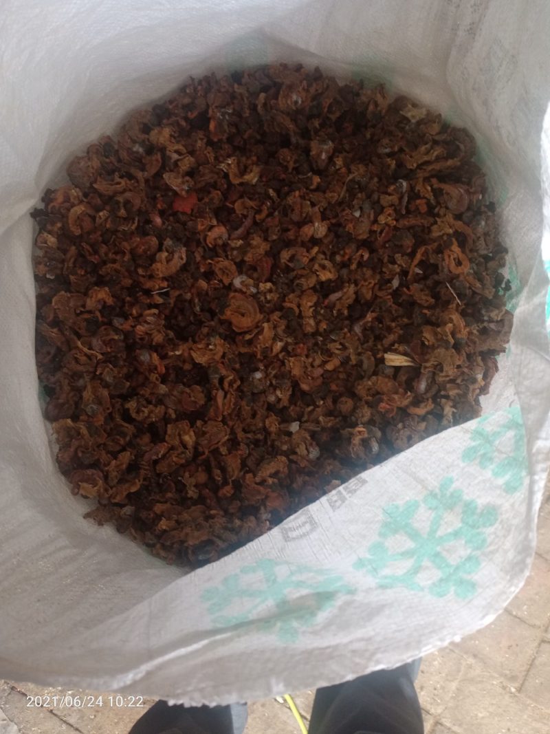 扇贝扇贝边扇贝下脚料货好价格便宜需要的联系