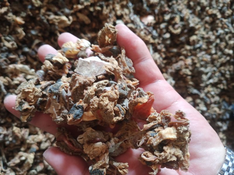 扇贝扇贝边扇贝下脚料货好价格便宜需要的联系