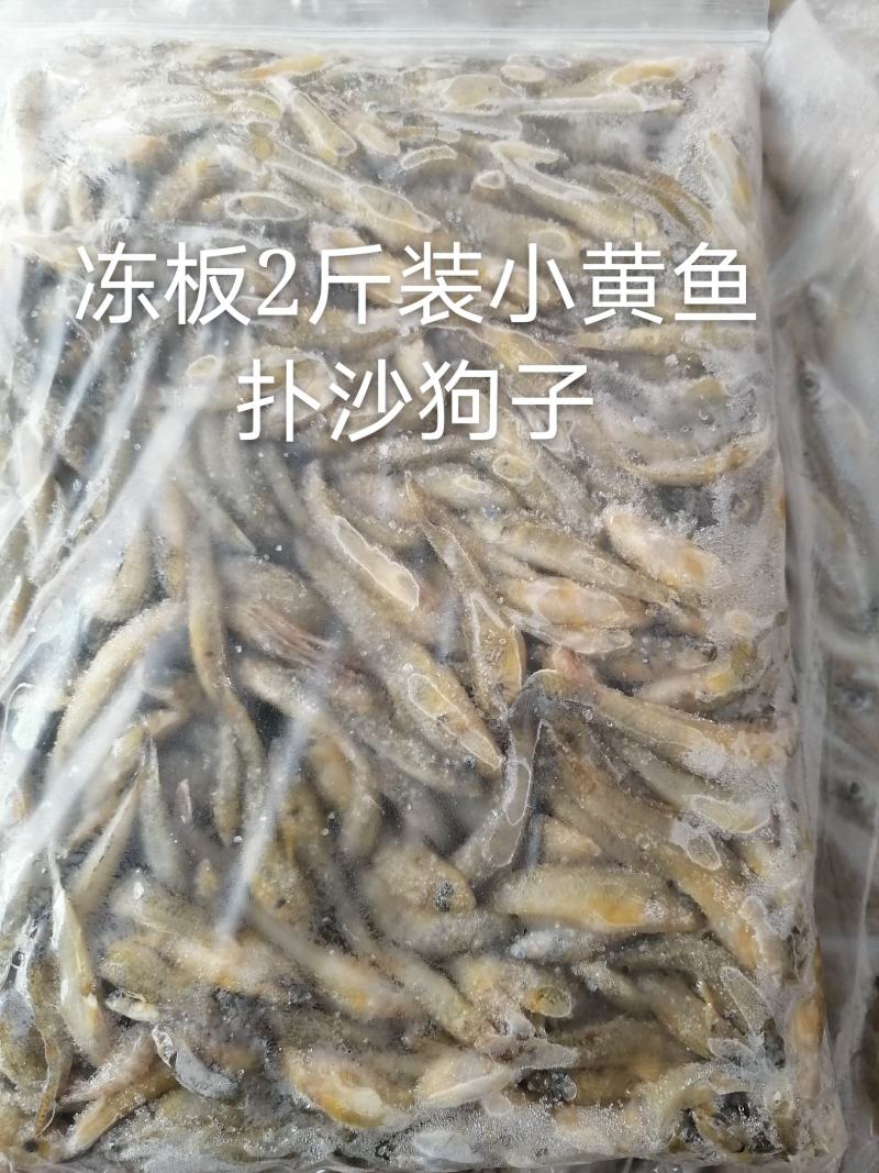 柴火烤小黄鱼3/5公分，个头均匀，无沙无苦6成干