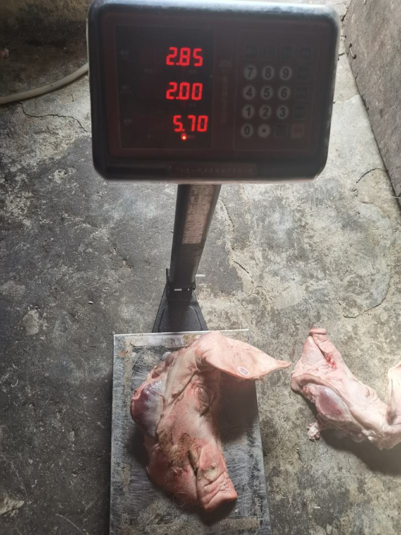 厂家一手货源屠宰场新鲜猪头