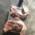 厂家一手货源屠宰场新鲜猪头