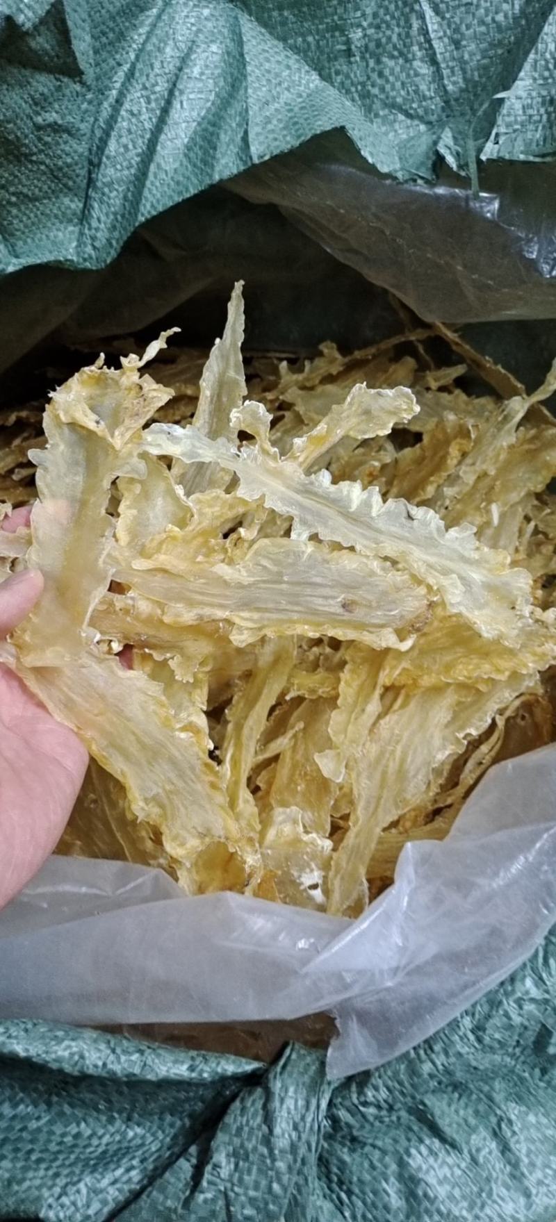 鳕鱼胶35/55/200足干鱼胶花胶鳕鱼胶自食酒店用批发