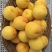 （锦春）山东优质锦春黄桃大量上市销售，品种多，价格便宜