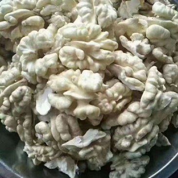 四川凉山有机核桃新鲜青皮核桃尝鲜核桃去皮核桃大优鲜带皮核