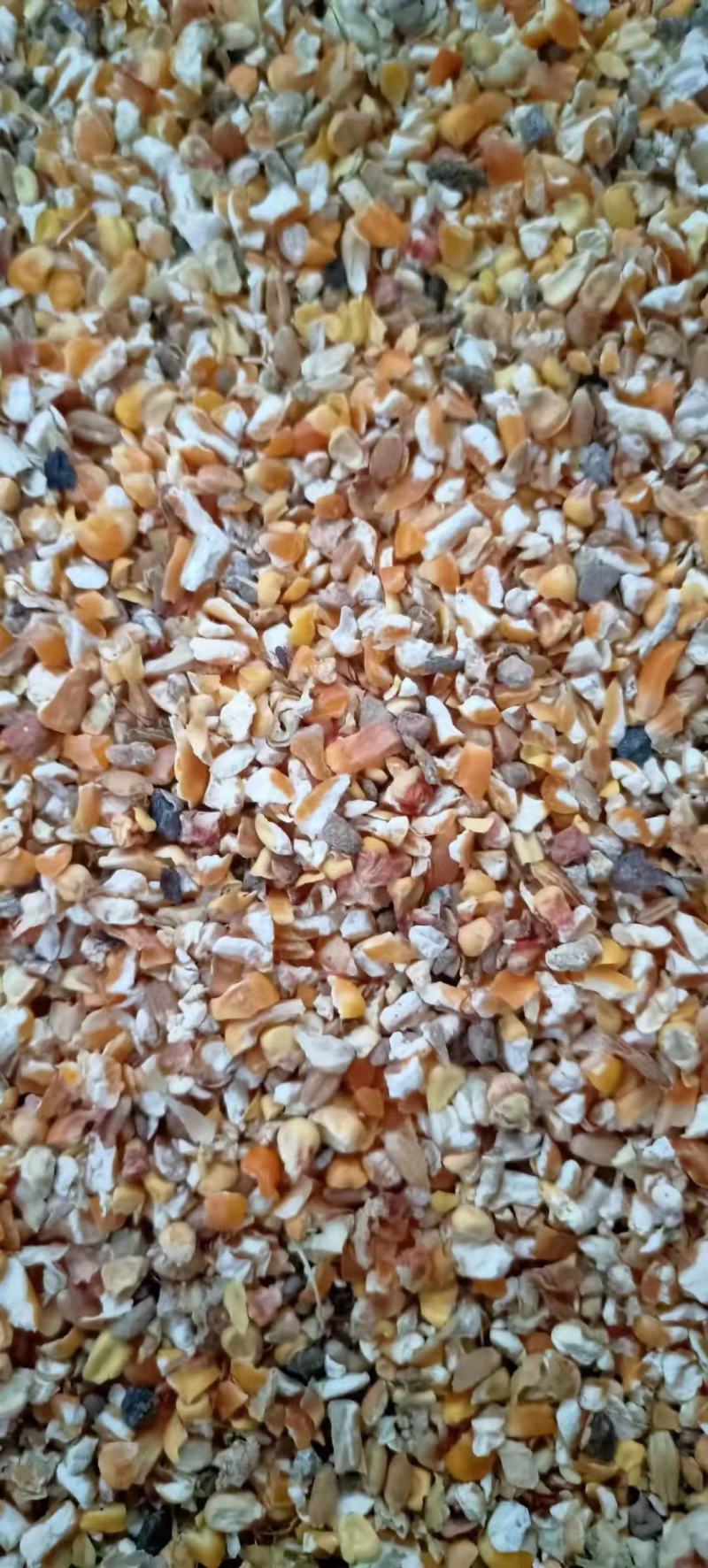 碎玉米，质量好，鸡鸭鹅牛羊养殖