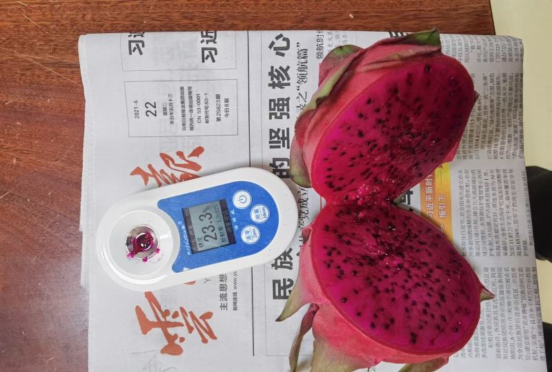 大量火龙果上货中，产地直发，上万亩基地任你选择