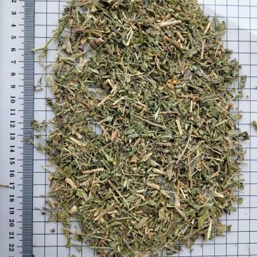 透骨草干货常年经营各种中药材