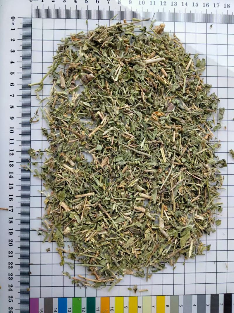 透骨草干货常年经营各种中药材