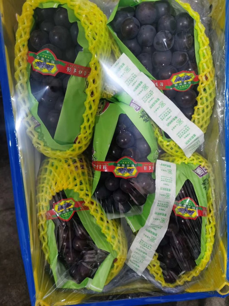 百万亩优选葡萄基地，口感好，价格合理，交通便利，一件代发