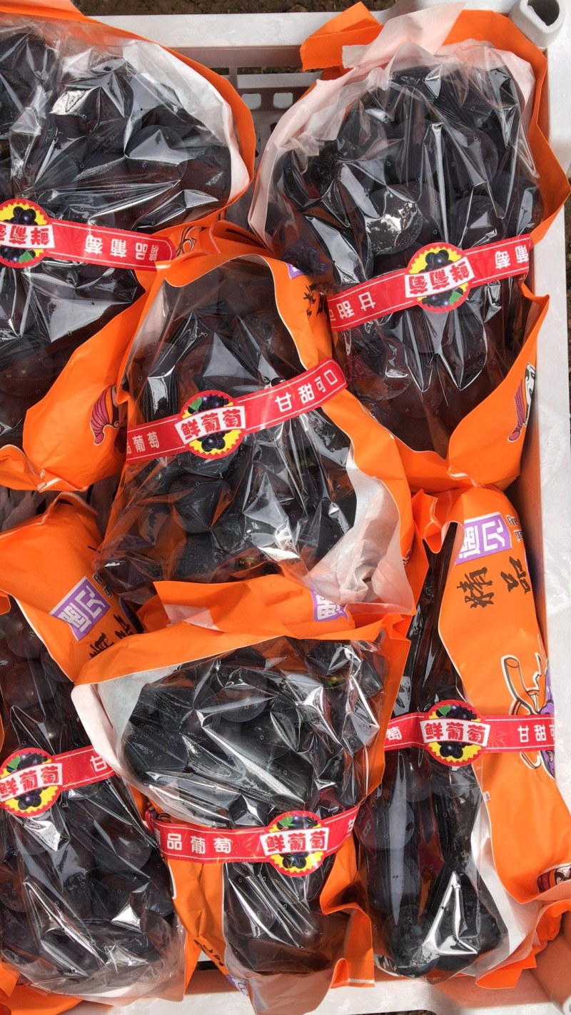 百万亩优选葡萄基地，口感好，价格合理，交通便利，一件代发
