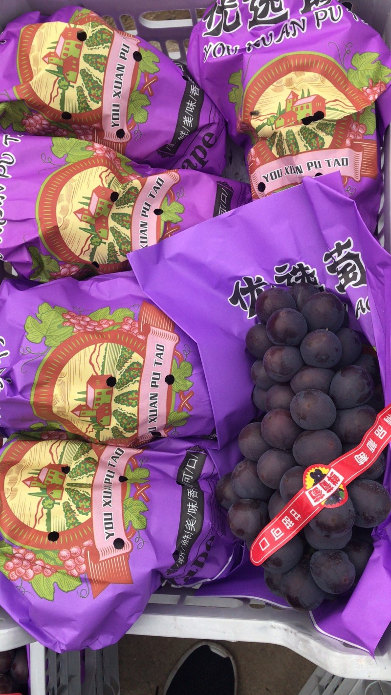 百万亩优选葡萄基地，口感好，价格合理，交通便利，一件代发
