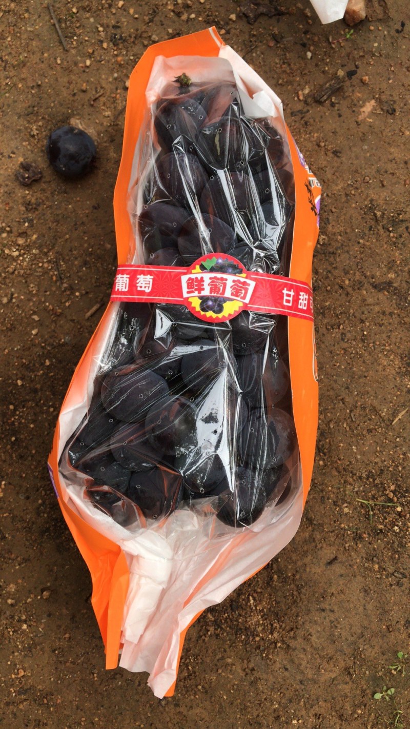 百万亩优选葡萄基地，口感好，价格合理，交通便利，一件代发