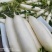 白萝卜大量供应白萝卜欢迎采购诚信经营一次合作终生朋友