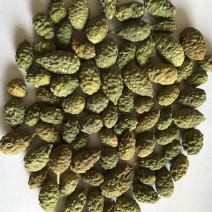 野西瓜量大从优新疆干货欢迎选购！！