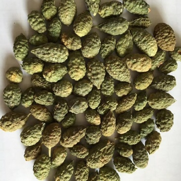 野西瓜量大从优新疆干货欢迎选购！！