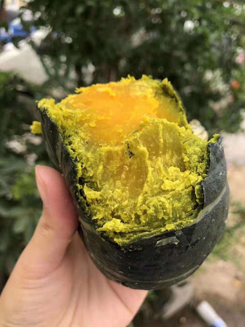 精品贝贝，干洗各种精品小贝贝量大可长期供货对接全国客商