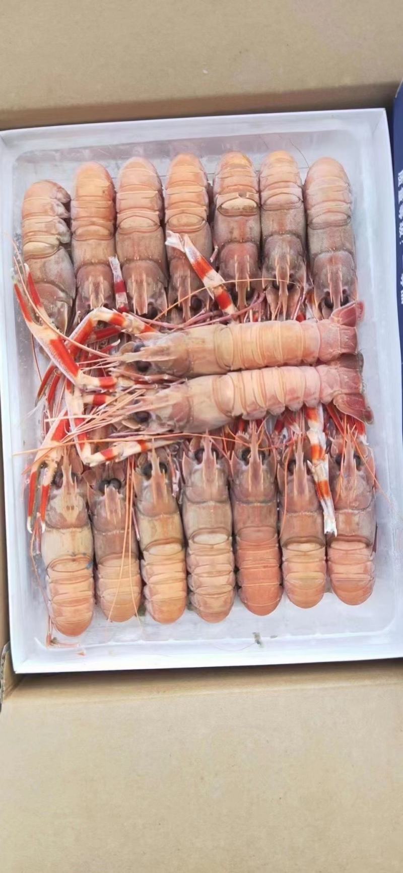 海鳌虾，白灼，刺身，煎，都可，欢迎新老客户订购！！