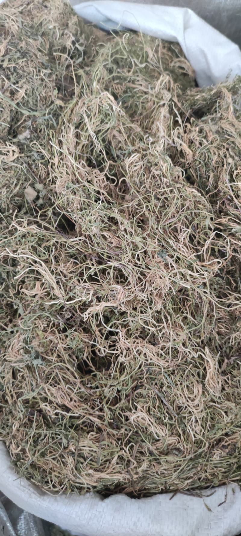 半边莲～水洗货新货～量大优惠～1公斤起售～欢迎咨询采购