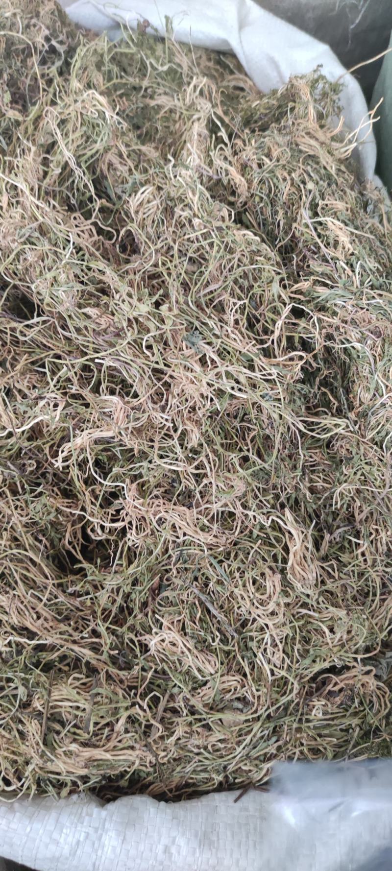半边莲～水洗货新货～量大优惠～1公斤起售～欢迎咨询采购