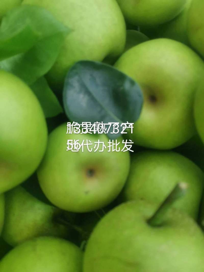 脆贯梨子