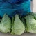 牛心菜大量供应欢迎采购诚信经营一次合作终生朋友