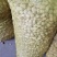 鲜花生7月15号大量上市！1.4筛网筛选，保质保量！