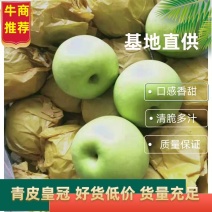 【推荐】青皮皇冠梨大量下树个头大价格便宜助燃梨市一路标升
