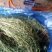 麦黄草，泪草，百蕊草，，长期有货，保证质量，，，，，，，