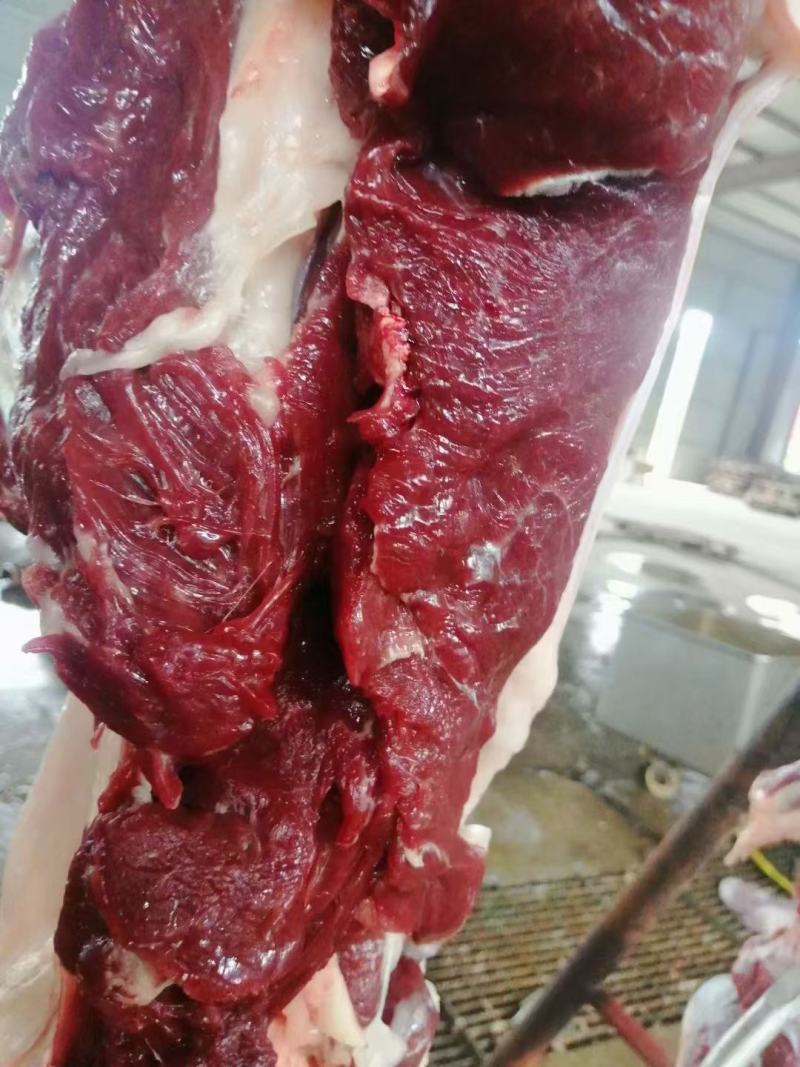 新品现杀驴肉卷，驴肉砖，马肉卷/砖口感鲜嫩