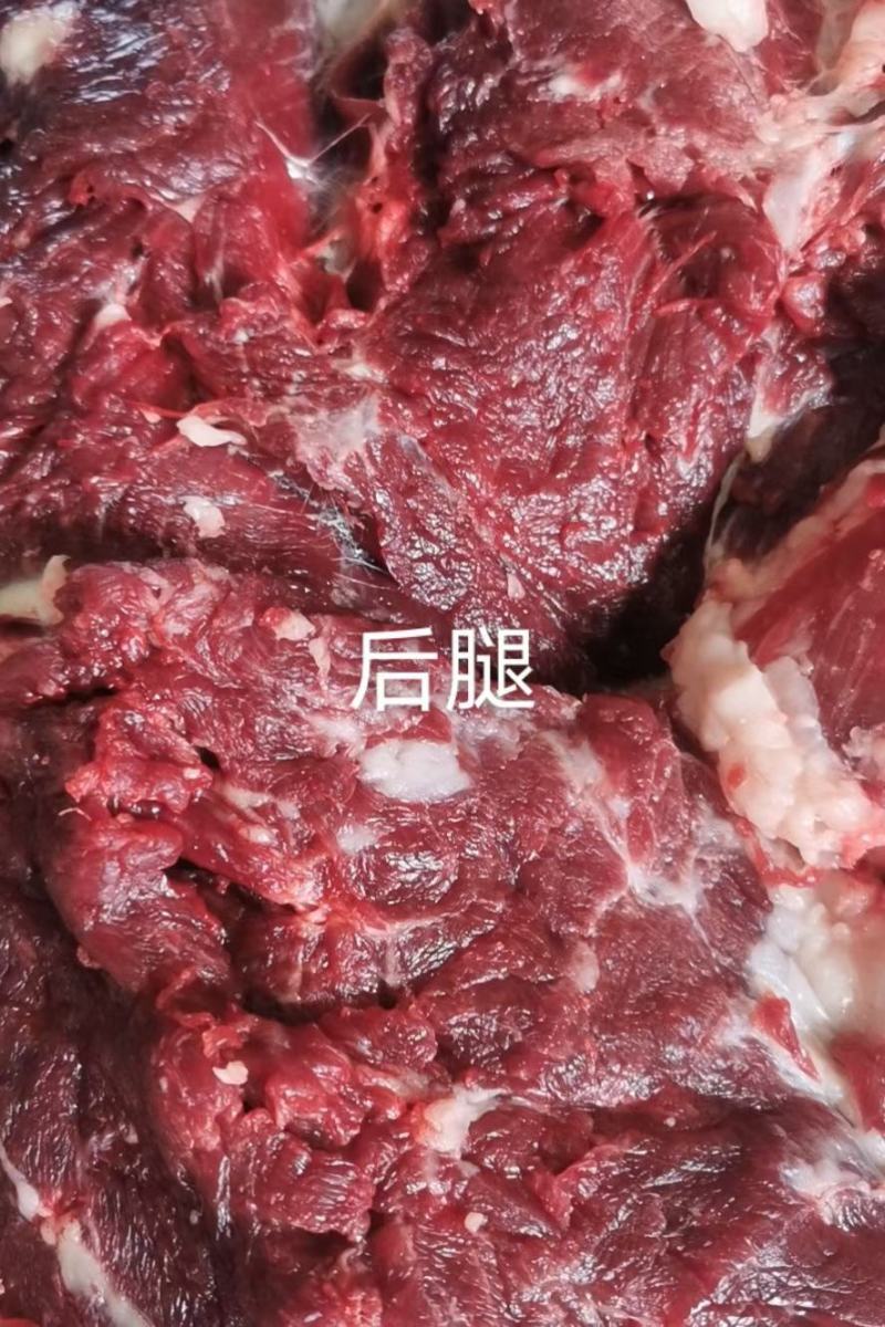 新品现杀驴肉卷，驴肉砖，马肉卷/砖口感鲜嫩