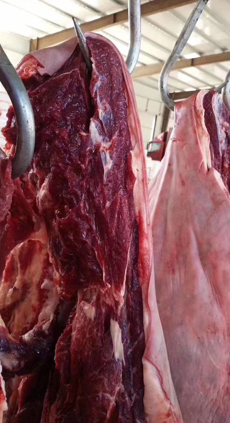 新品现杀驴肉卷，驴肉砖，马肉卷/砖口感鲜嫩