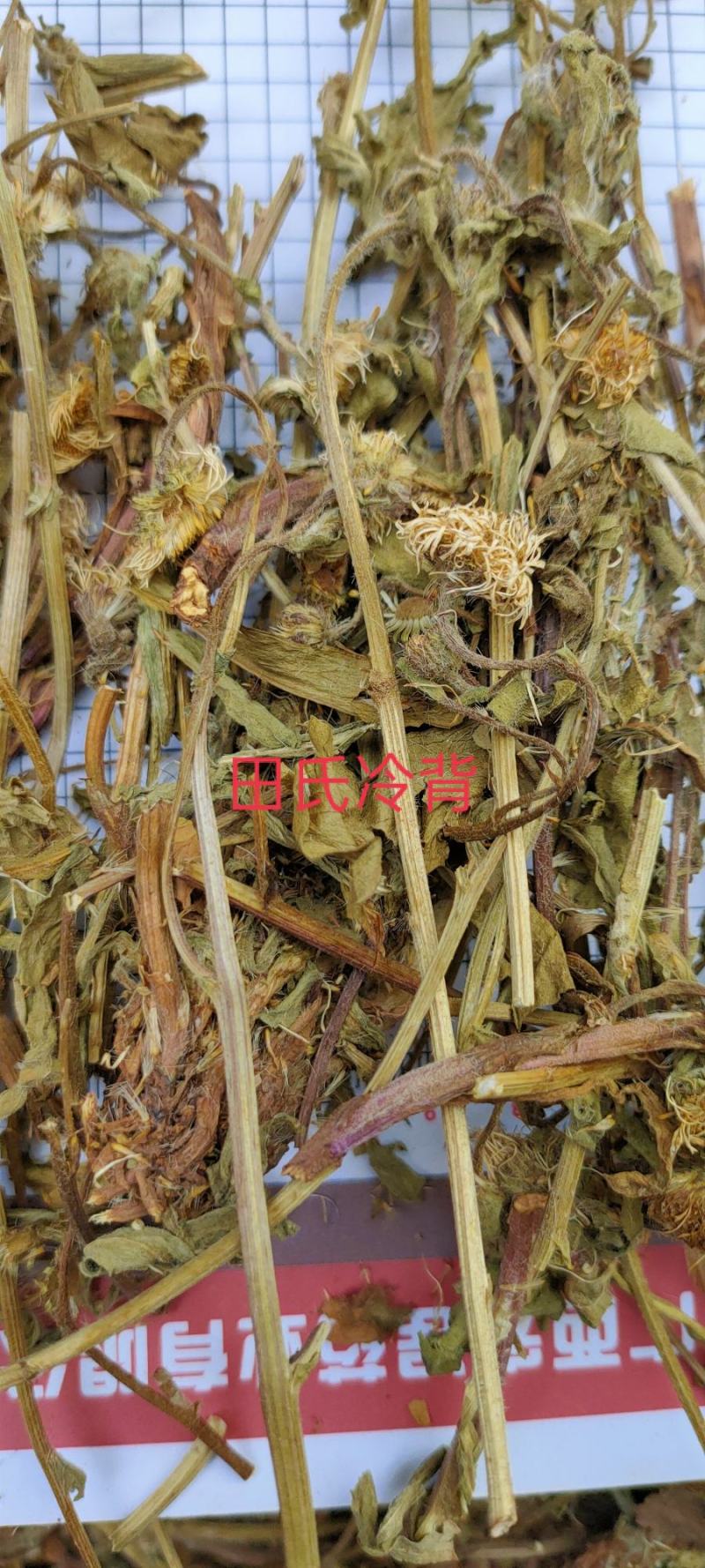 中药材灯盏花，纯新货，灯盏细辛，灯盏花灯盏草