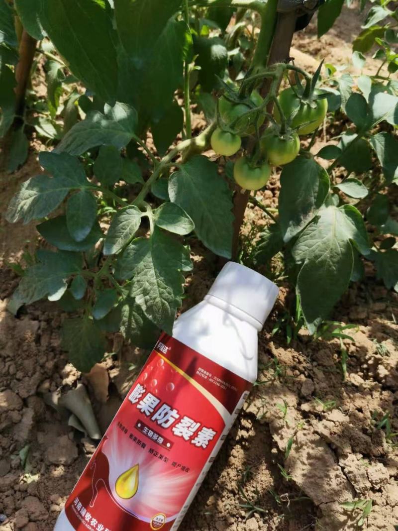 膨果防裂素果实均匀膨大防止裂果安全高效