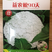 【🔥花菜种子】台湾青梗松花菜种子大球型,量大从优