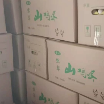 优质土鸡蛋双色蛋品质好货源稳定价格实惠保质保量